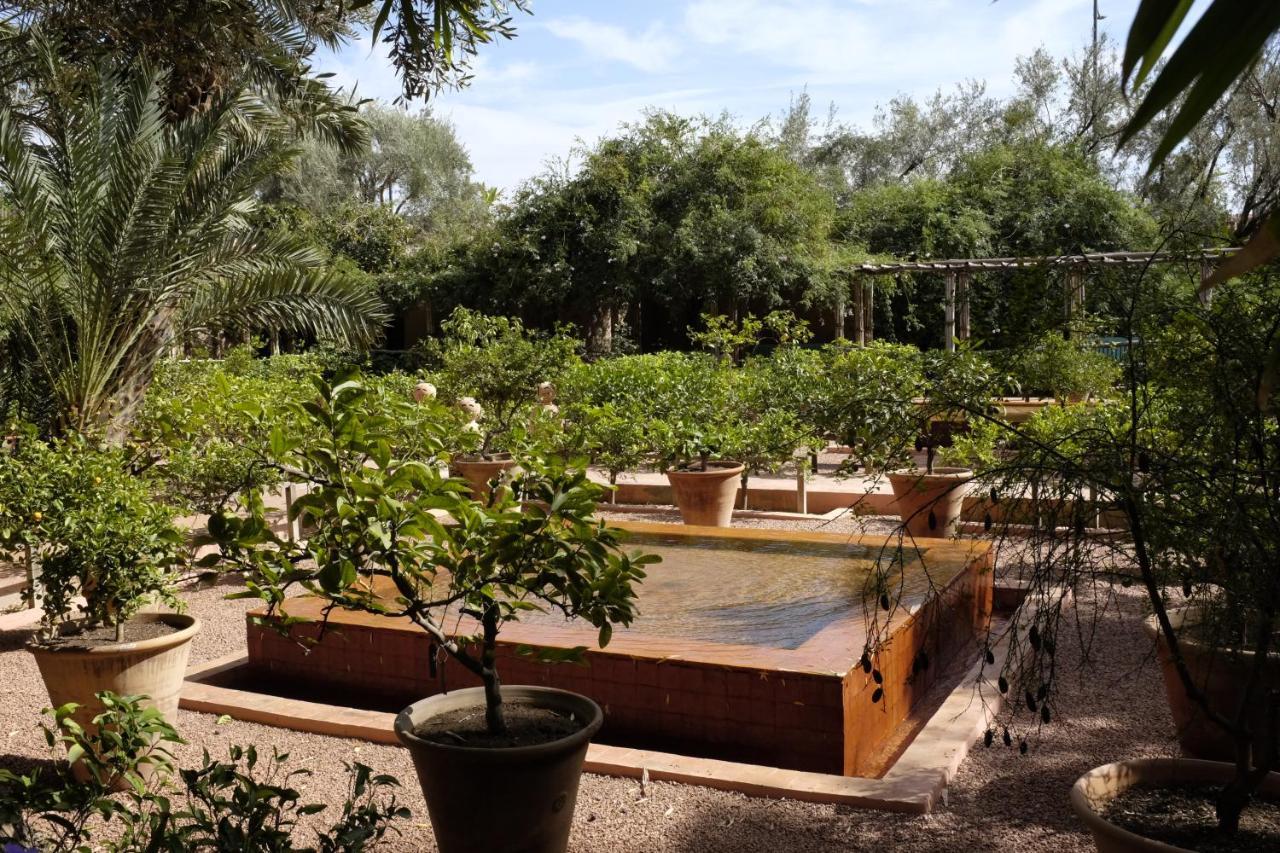 Riad Tazzori Marrakesh Ngoại thất bức ảnh
